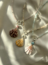 Load image into Gallery viewer, The Sunshine Scallop Shell Necklace