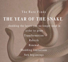 Load image into Gallery viewer, The Serpent Earrings