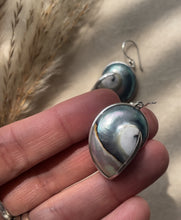 Load image into Gallery viewer, NEW Nautilus Shell Earrings.