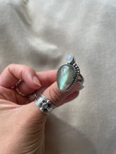 Load image into Gallery viewer, NEW The Labby &Luna Tear 001