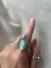 Load image into Gallery viewer, NEW The Labby &Luna Tear 001