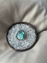 Load image into Gallery viewer, NEW The Turquoise Labby Flash Collection.
