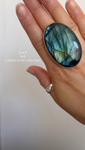 Load image into Gallery viewer, NEW The Turquoise Labby Flash Collection.
