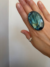 Load image into Gallery viewer, NEW The Turquoise Labby Flash Collection.
