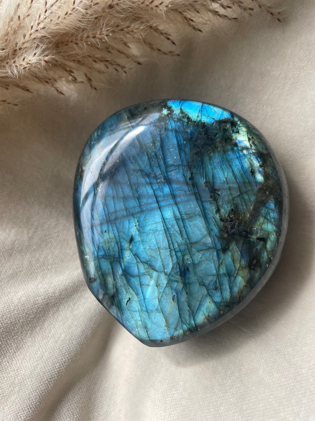 NEW Cobalt Labradorite Freeform