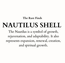 Load image into Gallery viewer, NEW Nautilus Shell Earrings.
