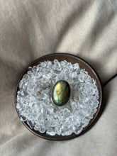 Load image into Gallery viewer, NEW The Turquoise Labby Flash Collection.
