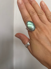 Load image into Gallery viewer, NEW The Turquoise Labby Flash Collection.
