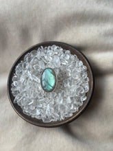 Load image into Gallery viewer, NEW The Turquoise Labby Flash Collection.
