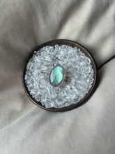 Load image into Gallery viewer, NEW The Turquoise Labby Flash Collection.
