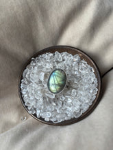 Load image into Gallery viewer, NEW The Turquoise Labby Flash Collection.
