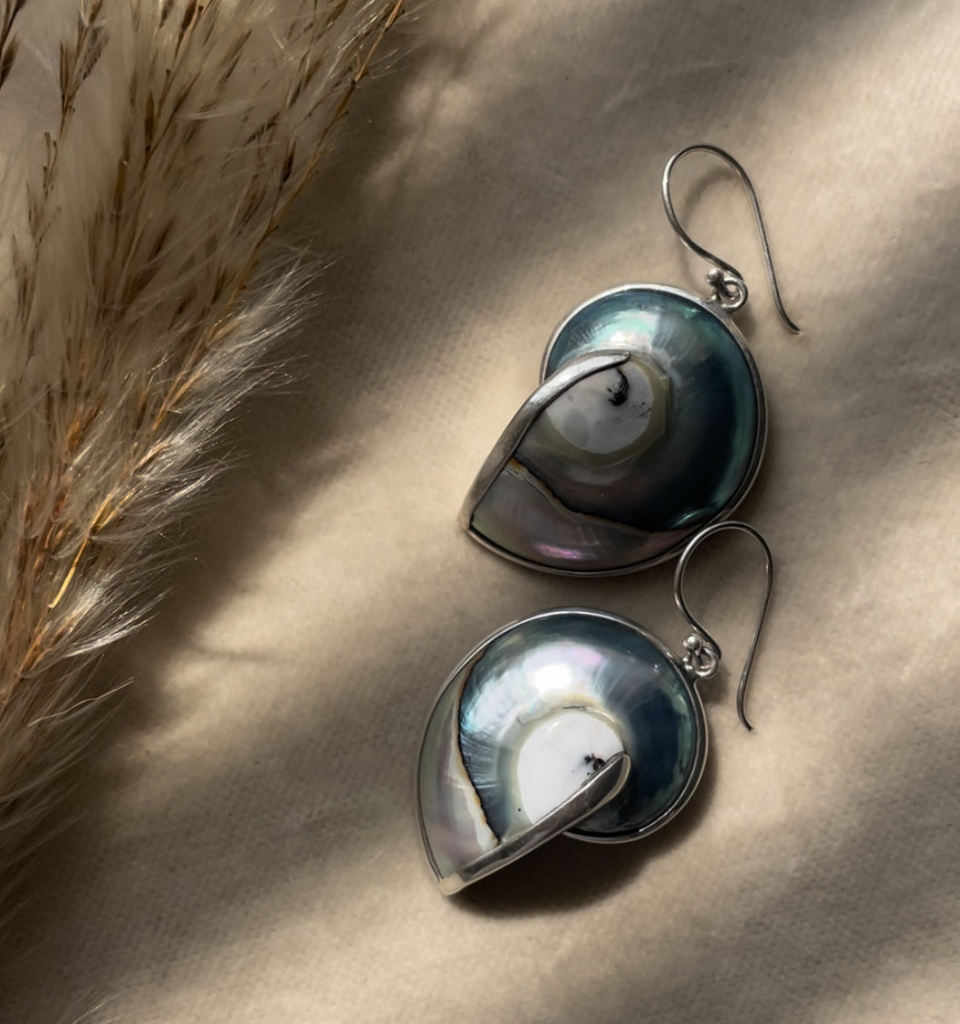 NEW Nautilus Shell Earrings.
