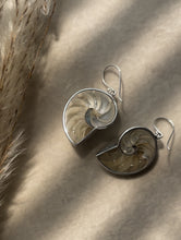 Load image into Gallery viewer, NEW Nautilus Shell Earrings.
