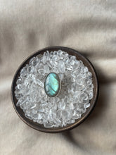 Load image into Gallery viewer, NEW The Turquoise Labby Flash Collection.
