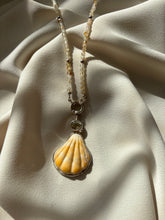 Load image into Gallery viewer, The Sunshine Scallop Shell Necklace
