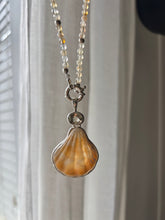 Load image into Gallery viewer, The Sunshine Scallop Shell Necklace
